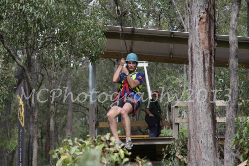 Flying Fox (37).jpg