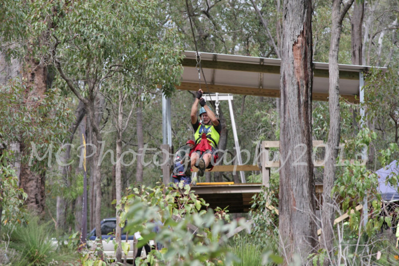 Flying Fox (5).jpg