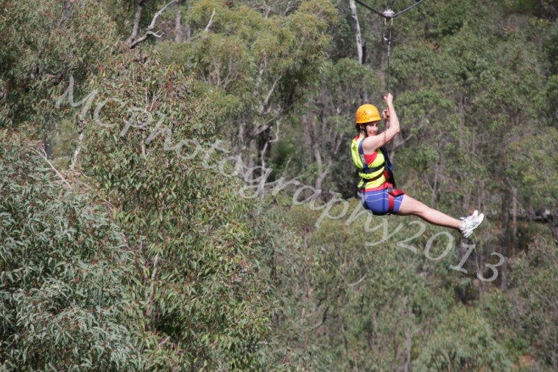 Flying Fox (54).jpg