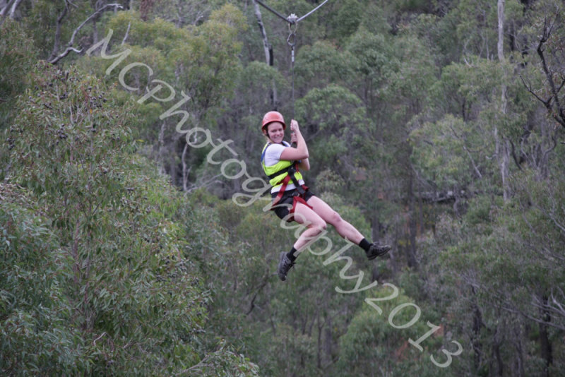 Flying Fox (60).jpg