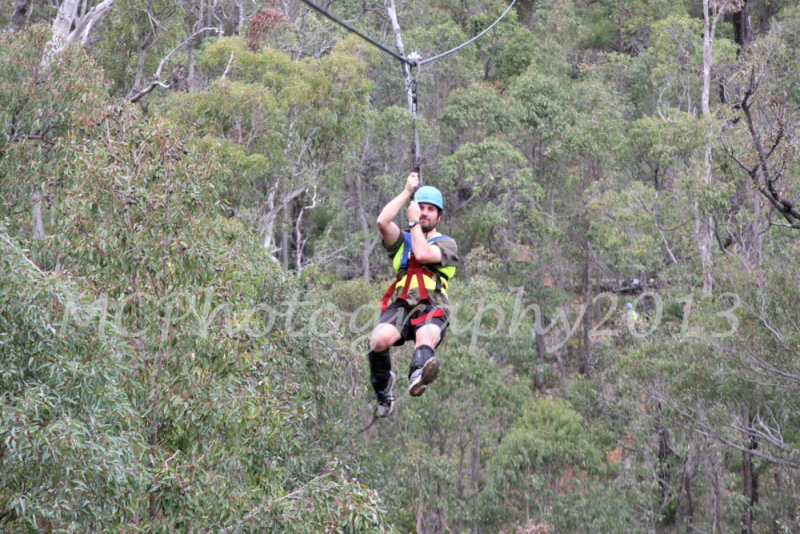 Flying Fox (76).jpg