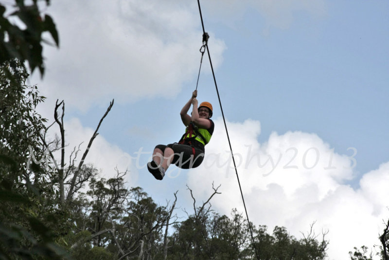 Flying Fox (83).jpg