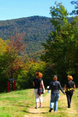 highland_games-2013