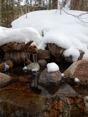 2.1 Greeley Pond Hike.jpg