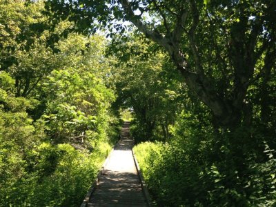 path to the lighthouse