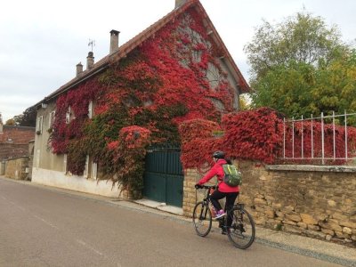 Biking in Burgundy France 