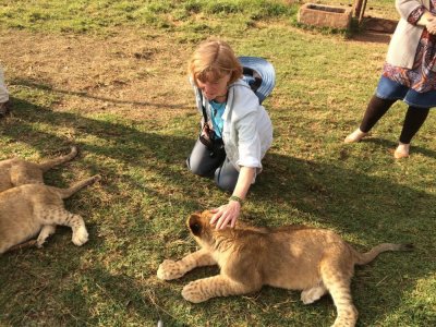 Lion cub encounter