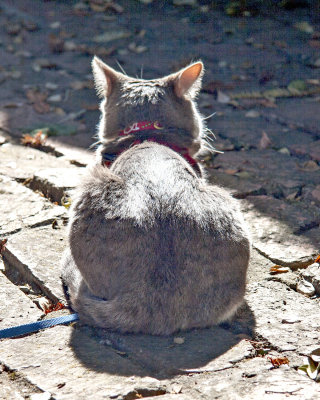 Hooper2005Onguard.jpg