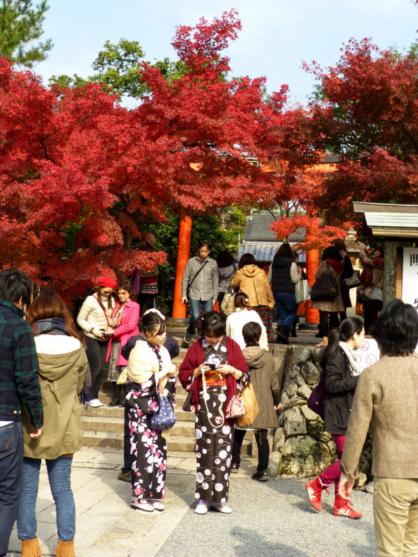 arashiyama P1010304.jpg