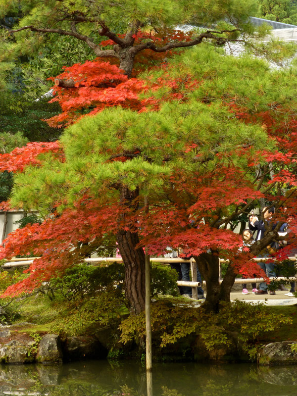 ginkakuji P1010476.jpg