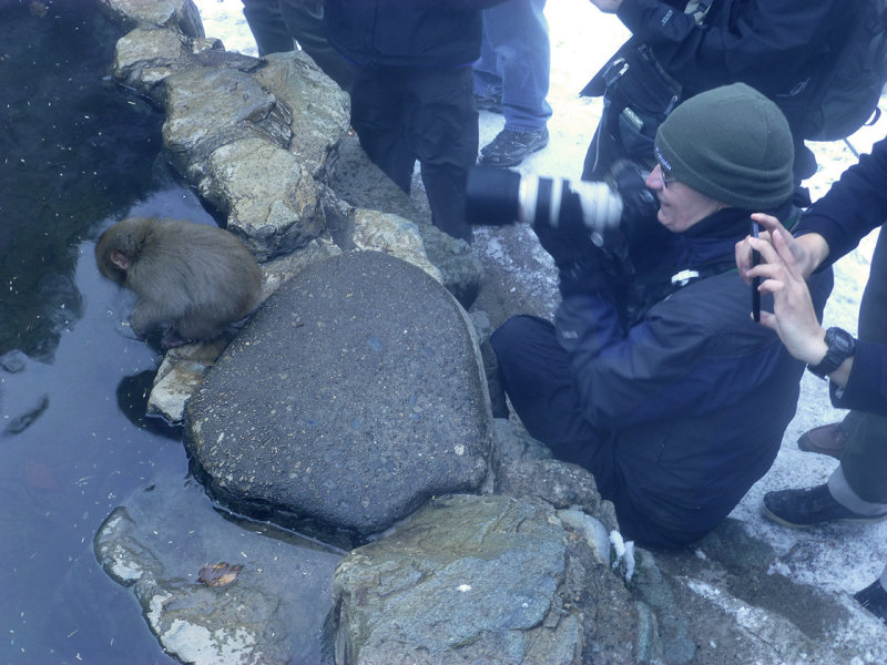 Snow Monkey obstruction to photography