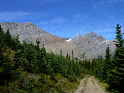 Bow Lake summit trail