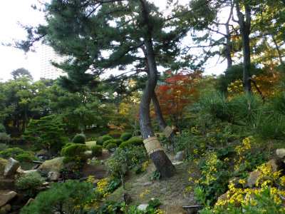 shukkeien gardens P1010189.jpg