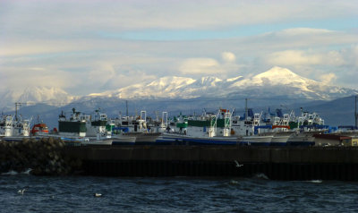 abashiri docks P1010981.jpg