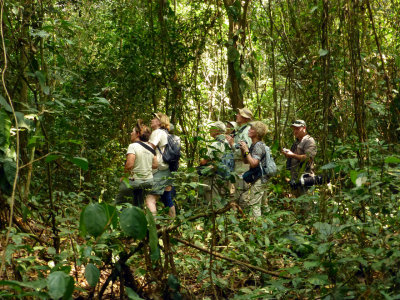 intrepid birders.jpg