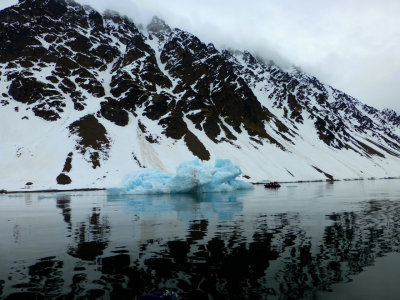 Iceberg in the fjord