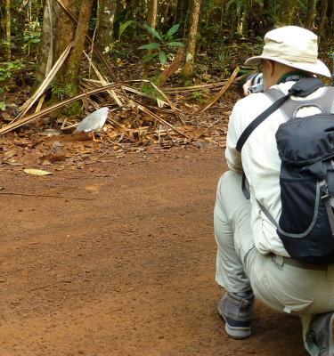 Dave and Kagu, New Caledonia