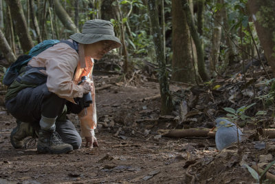 Kagu and Marsha, New Caledonia