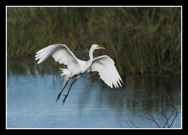 The Landing
