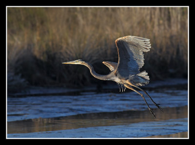 Evening Liftoff