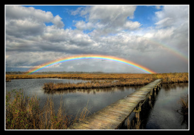 Marsh Rainbow
