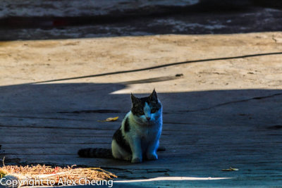 xinjiang_sellection_sep_10