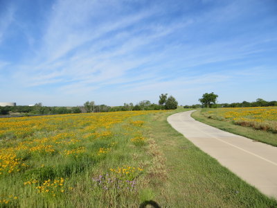 Along the Trail