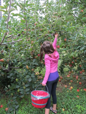 Apple Hill Orchard 054.jpg
