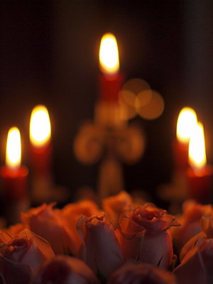 20110201.jpg