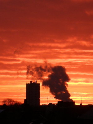 20110202.jpg