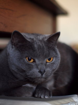 20110204.jpg