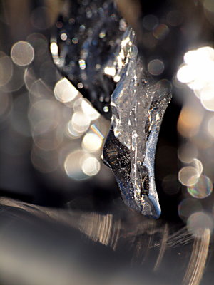20110211.jpg