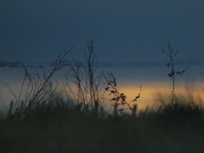 20110212.jpg