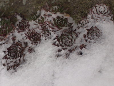 20110214.jpg