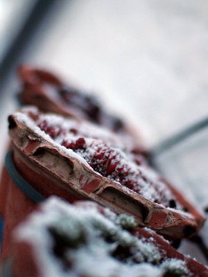 20110215.jpg