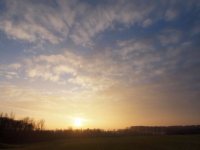 20110216.jpg