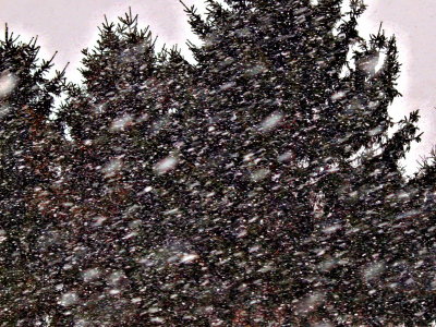 20110217.jpg