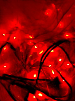 20110223.jpg