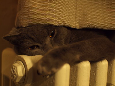 20110224.jpg