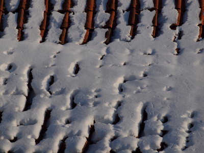 20110225.jpg