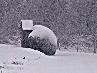 20110227.jpg