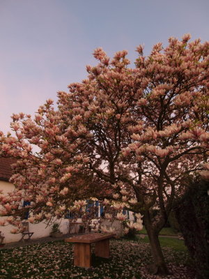 20120102.jpg