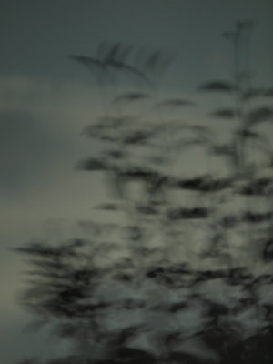 20120103.jpg