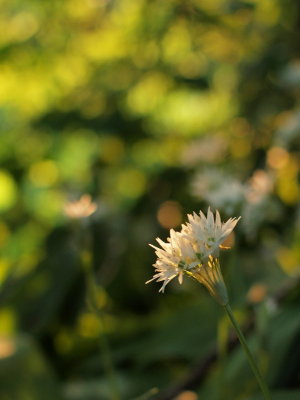 20120105.jpg