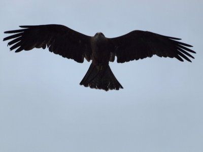 20120106.jpg