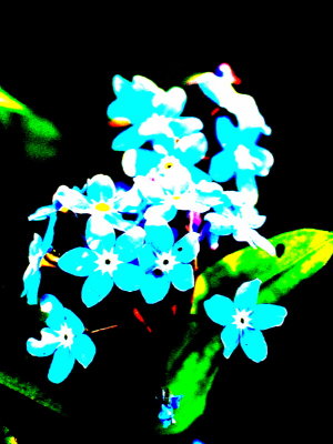 20120107.jpg