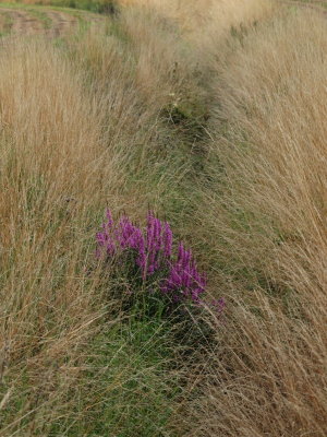 20120108.jpg