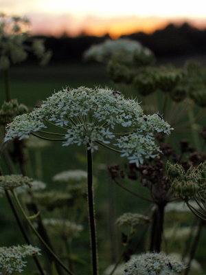 20120109.jpg