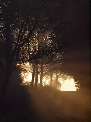20120113.jpg
