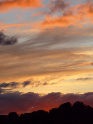 20120118.jpg